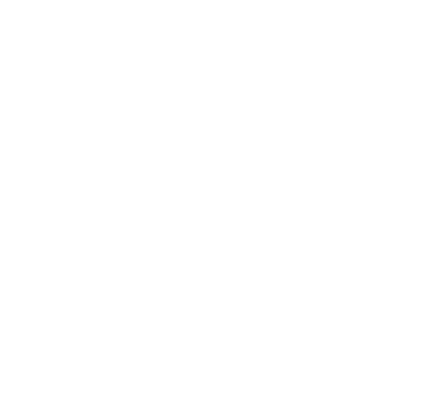 American Data Science logo